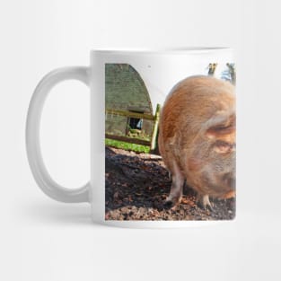 New Zealand Kunekune Pig Mug